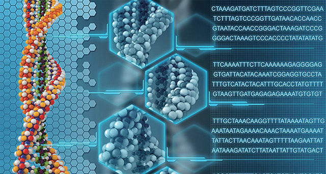 Biyoinformatik Analiz Hizmetleri