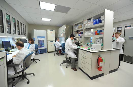 Laboratuvar İşletmecilik Hizmetleri